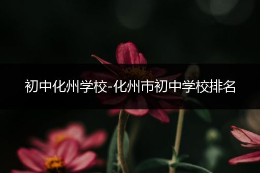 初中化州学校-化州市初中学校排名