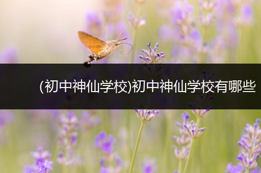 （初中神仙学校)初中神仙学校有哪些