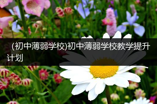 （初中薄弱学校)初中薄弱学校教学提升计划