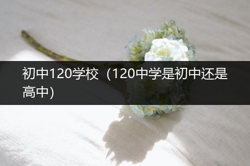 初中120学校（120中学是初中还是高中）