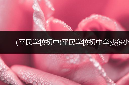 （平民学校初中)平民学校初中学费多少