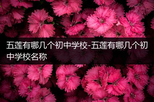 五莲有哪几个初中学校-五莲有哪几个初中学校名称