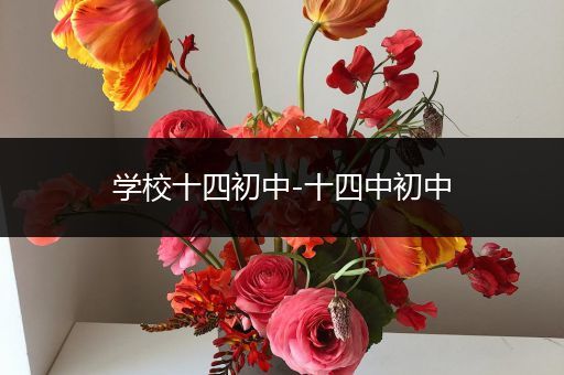 学校十四初中-十四中初中