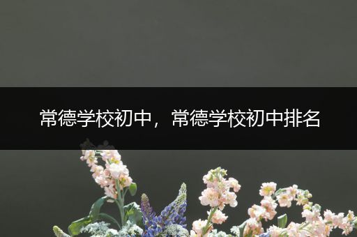 常德学校初中，常德学校初中排名