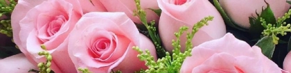 粉玫瑰寓意：粉玫瑰花寓意是什么